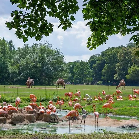 Botschaft Szálloda 3*