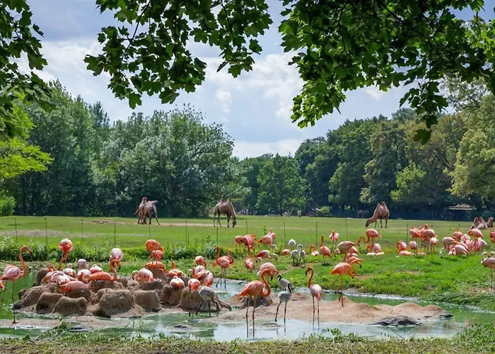 Botschaft فندق 3*