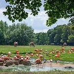 Botschaft ホテル 3*